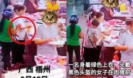 奇葩最新爆料事件,最新事件揭秘